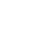 logo_ligier