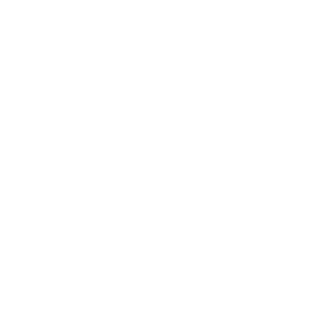 logo_ligier